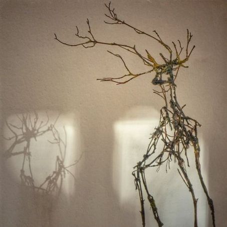 Anne Kuprat