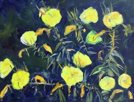 Petra Balbach: Nachtkerze
