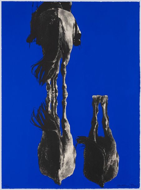 Zwei Hengste (Siebdruck auf Papier) Zwei Hengste (Siebdruck auf Papier)