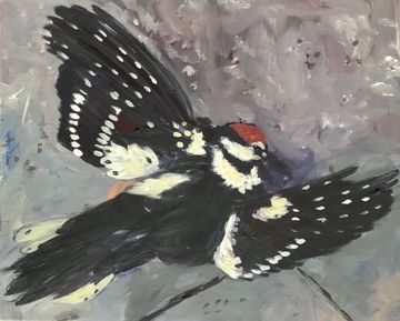 Petra Balbach: Buntspecht
